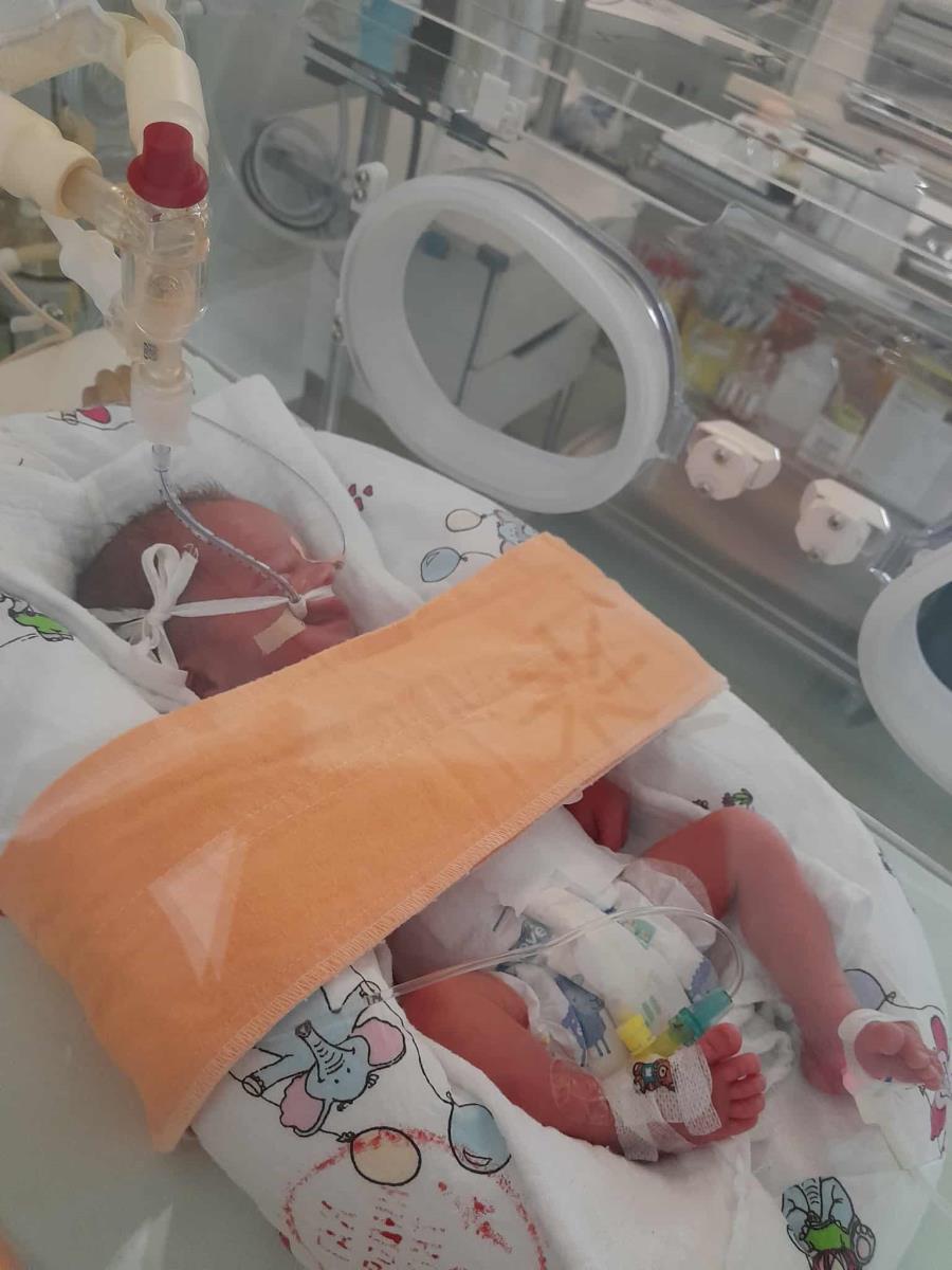 Suzana Mitrović sa blizancima (7).jpg