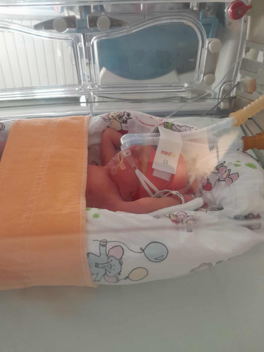 Suzana Mitrović sa blizancima (8).jpg