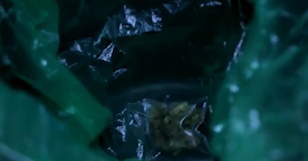 Screenshot 2025-11-16 175932.png