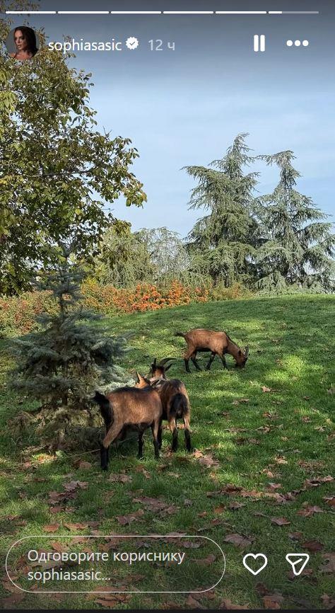 Sofija Šašić u prirodi