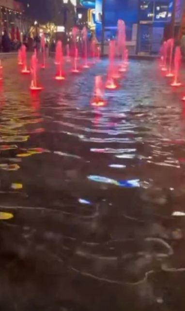 Milica Dabović u Americi