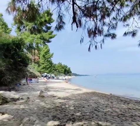 Halikidiki  Hotel za upoznavanje Grčka