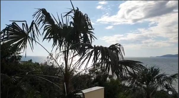 Screenshot 2025-11-17 133253.png