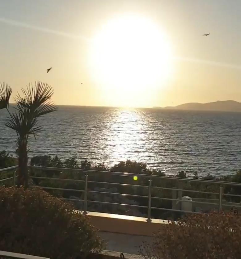 Screenshot 2025-11-17 133514.png