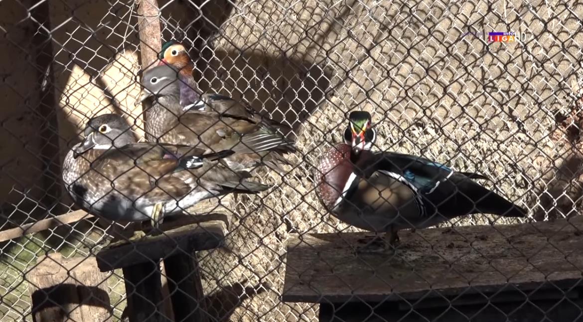 Screenshot 2025-11-17 141445.png