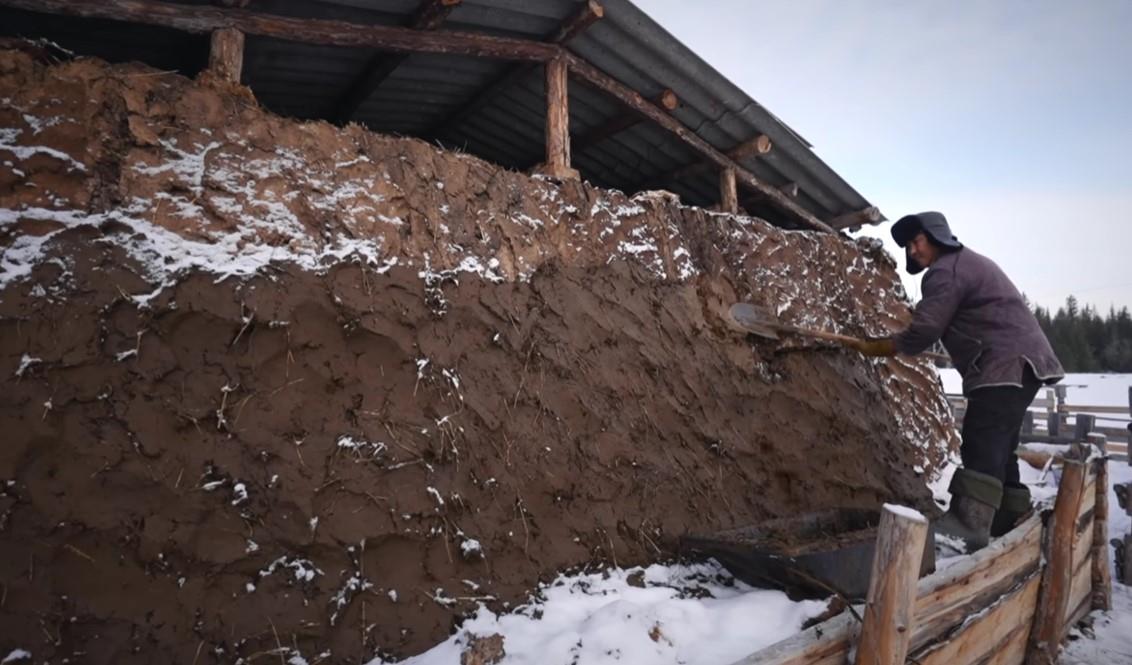 Screenshot 2025-11-17 145907.jpg