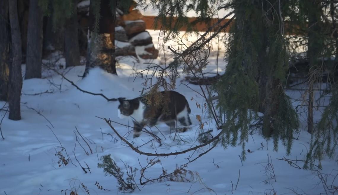 Screenshot 2025-11-17 145942.jpg