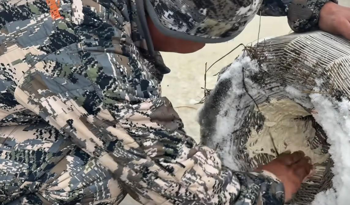 Screenshot 2025-11-17 150405.jpg