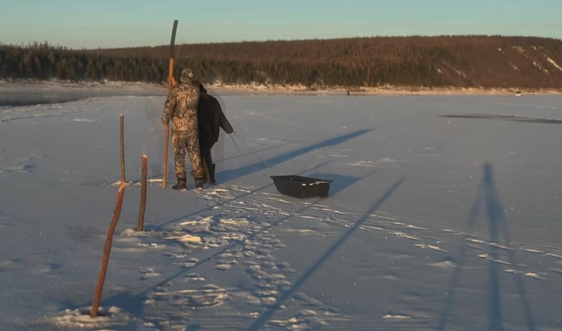 Screenshot 2025-11-17 150504.jpg