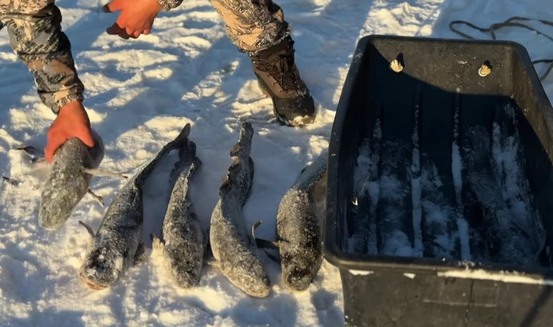 Screenshot 2025-11-17 150527.jpg