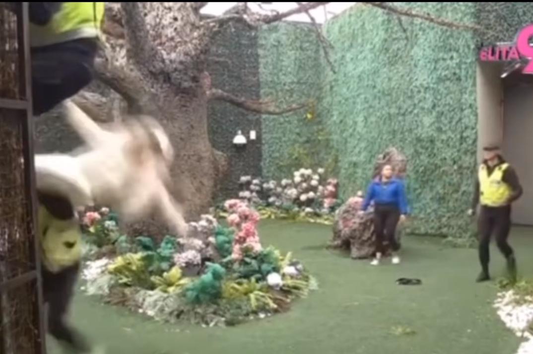 NAJJEZIVIJA SCENA U SVIH DEVET SEZONA RIJALITIJA! Uroša Stanića Asmin prvo davio i vukao po podu, a onda usledio pad sa velike visine (VIDEO)