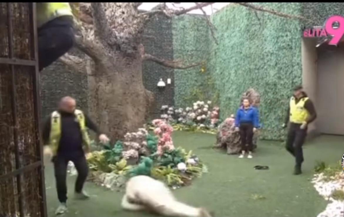 NAJJEZIVIJA SCENA U SVIH DEVET SEZONA RIJALITIJA! Uroša Stanića Asmin prvo davio i vukao po podu, a onda usledio pad sa velike visine (VIDEO)