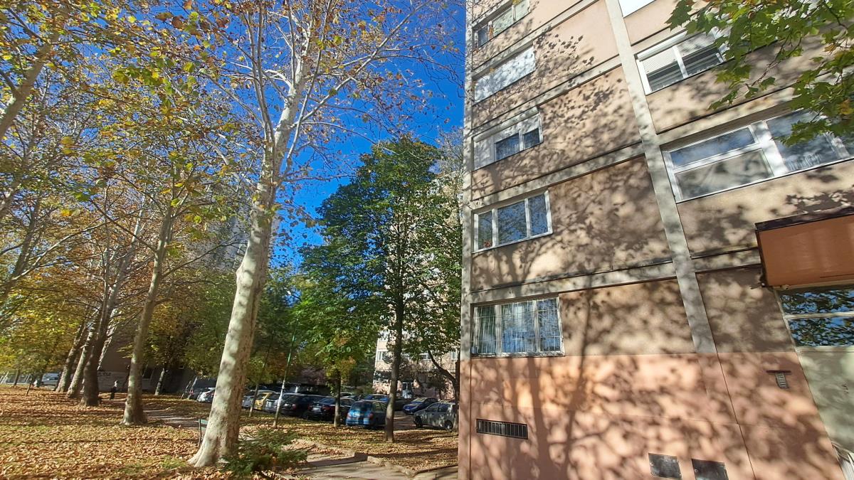 Rodni kraj Maje Nikolić