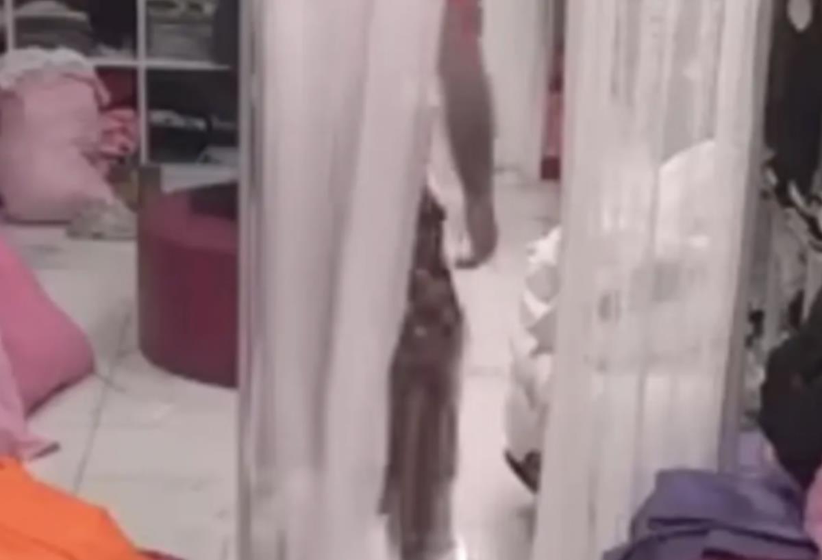 GLEDAOCI BESNI NA ASMINA! TRAŽE NJEGOVU HITNU KAZNU! Evo šta je sada uradio: Neoprostivo