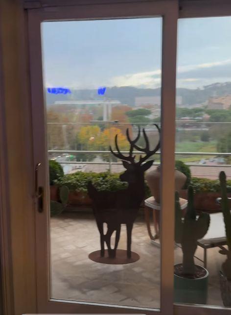 Arijana Mihalović ukrasila dom