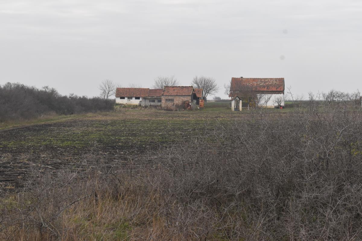 kikinda ubistvo (1).JPG