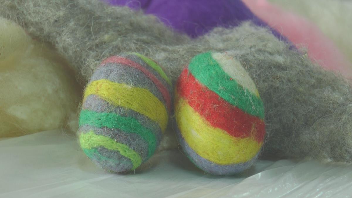 1763564402CACAK-VUNA-FOTORINA (3).jpg