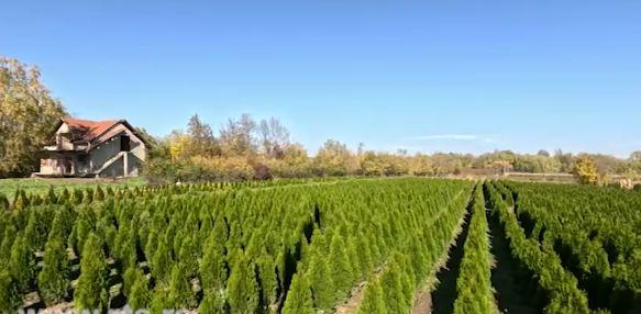 Dejan Jakovljević imanje