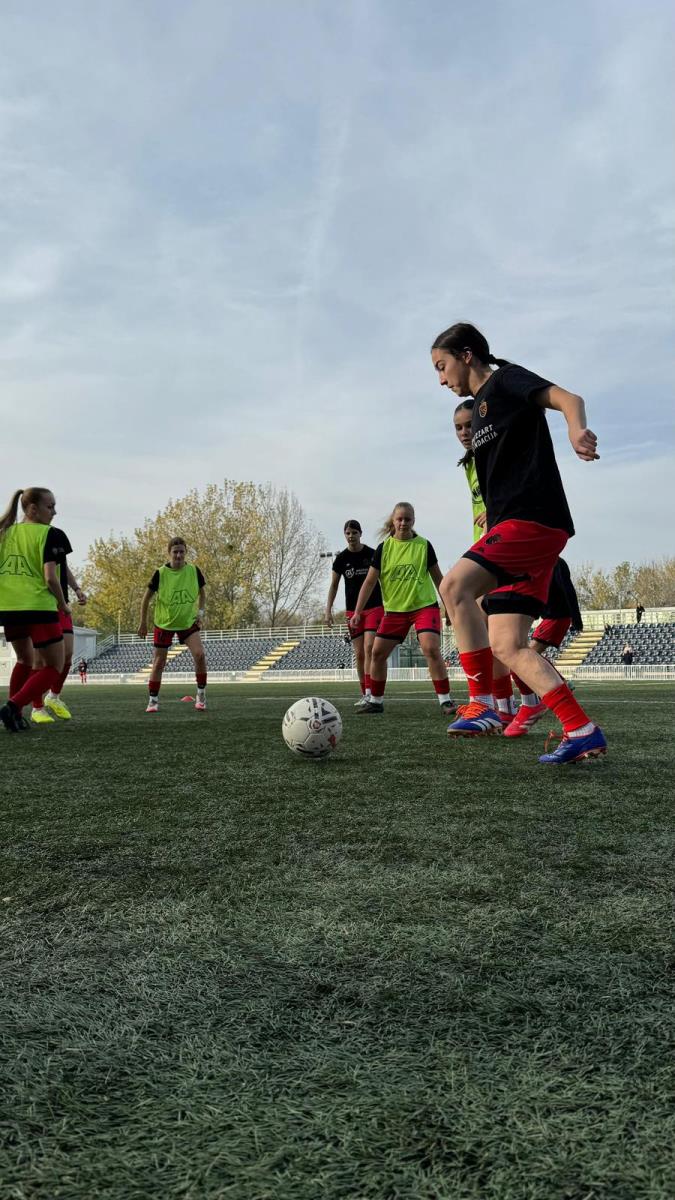 ŽFK Železnik 2.jpeg