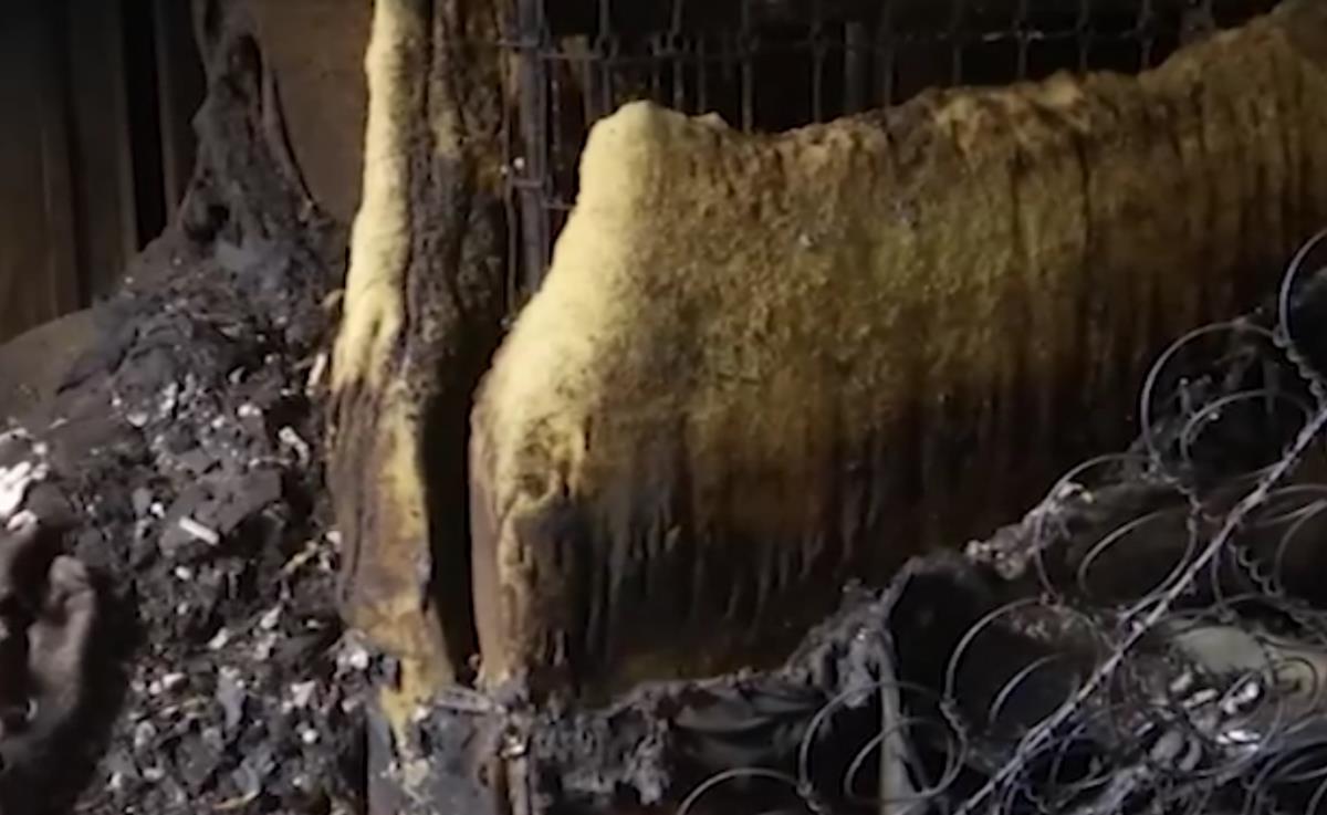 Screenshot 2025-11-21 114126.png