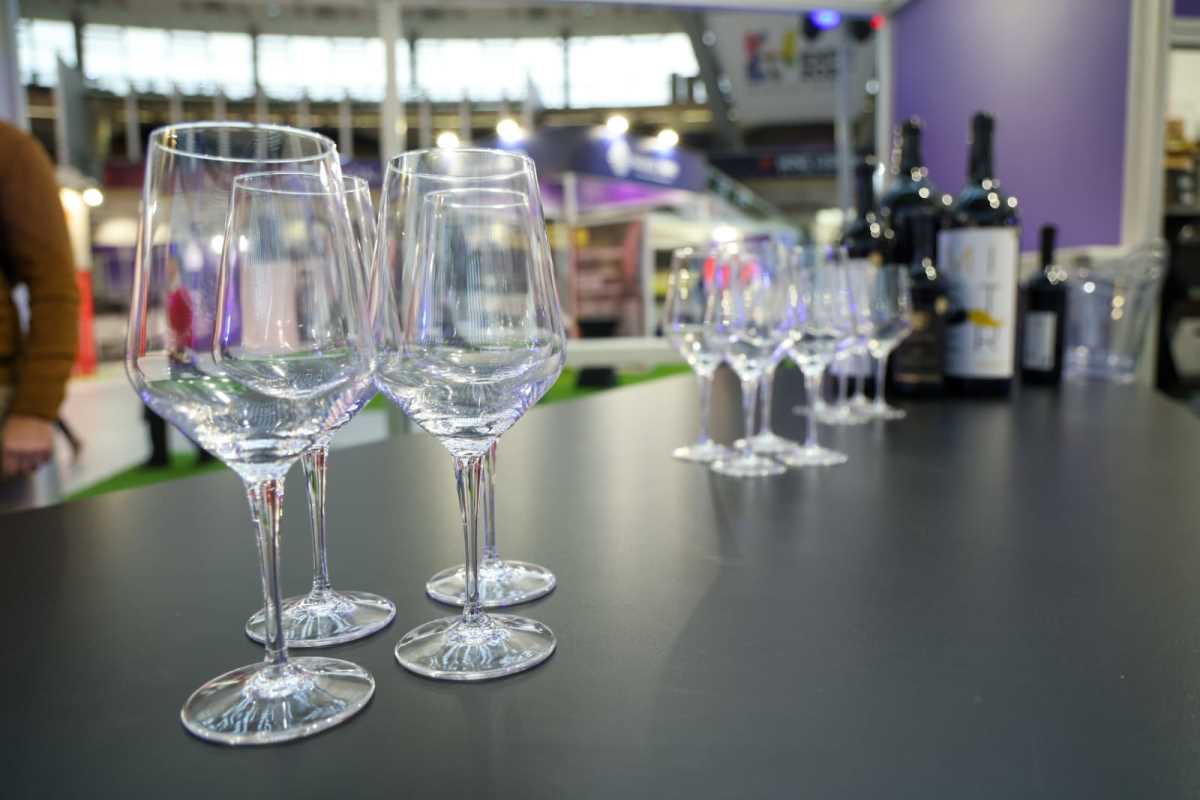 Sajam vina vinska vizija