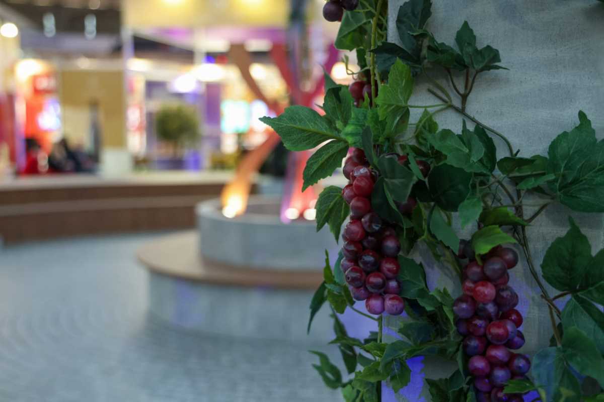 Sajam vina vinska vizija