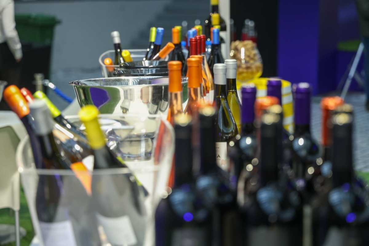 Sajam vina vinska vizija