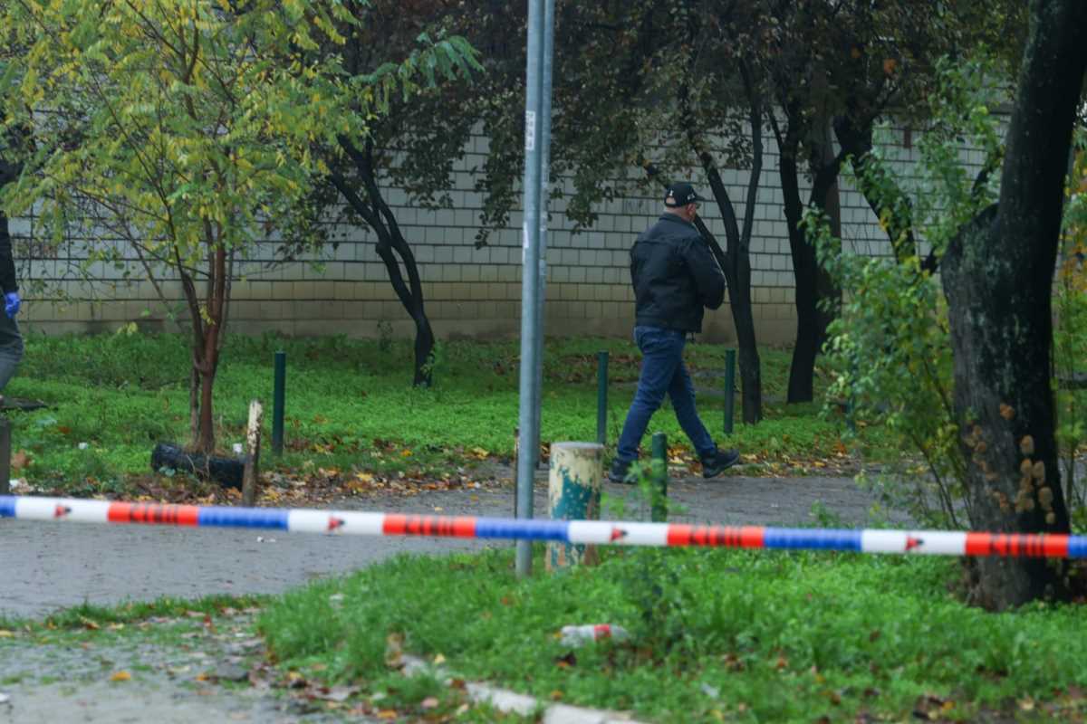 Pucnjava na Novom Beogradu (7).jpeg