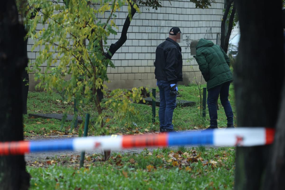 Pucnjava na Novom Beogradu (2).jpeg