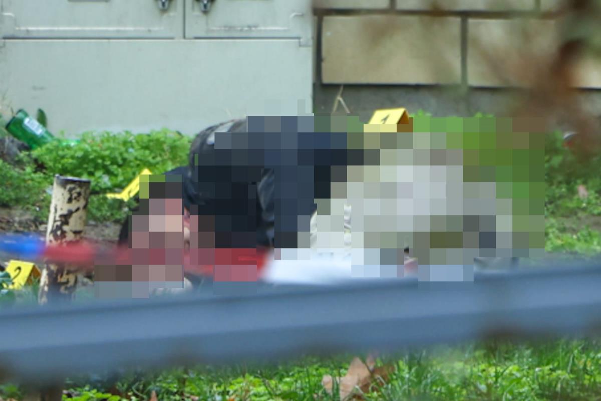 Pucnjava na Novom Beogradu (3).jpeg