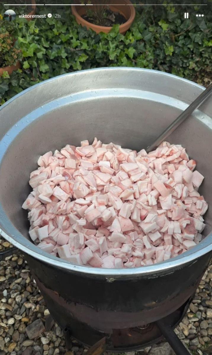 Viktor Živojinović