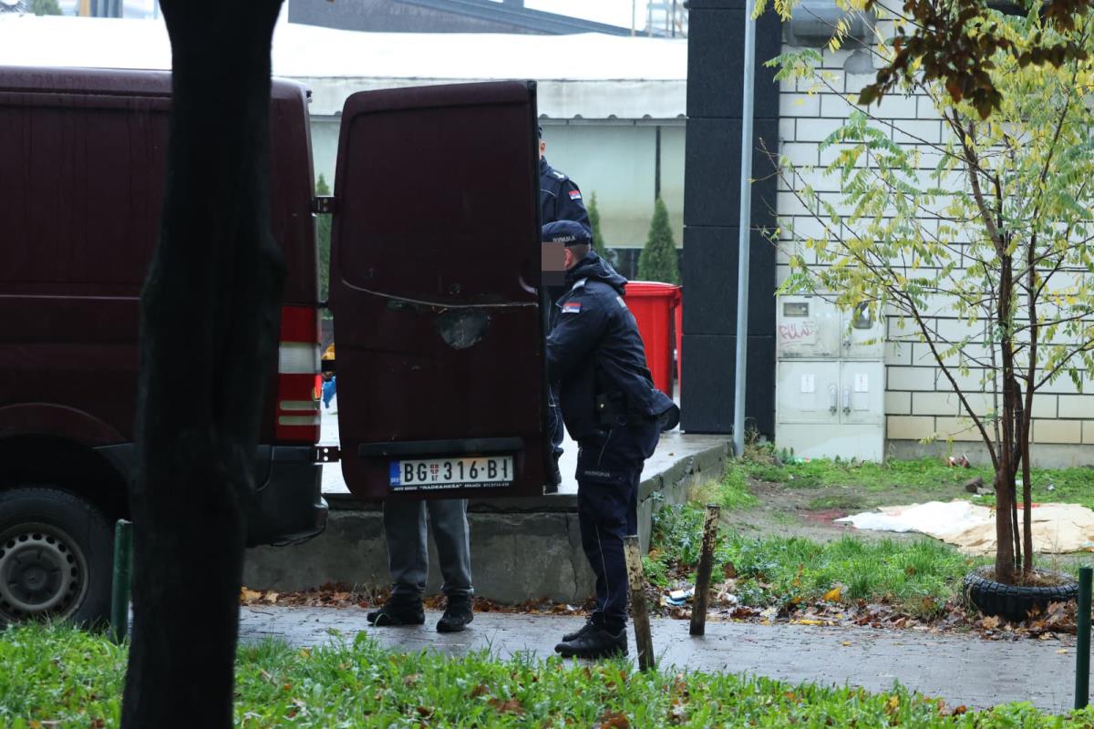 Tadija P. Ubistvo na Novom Beogradu