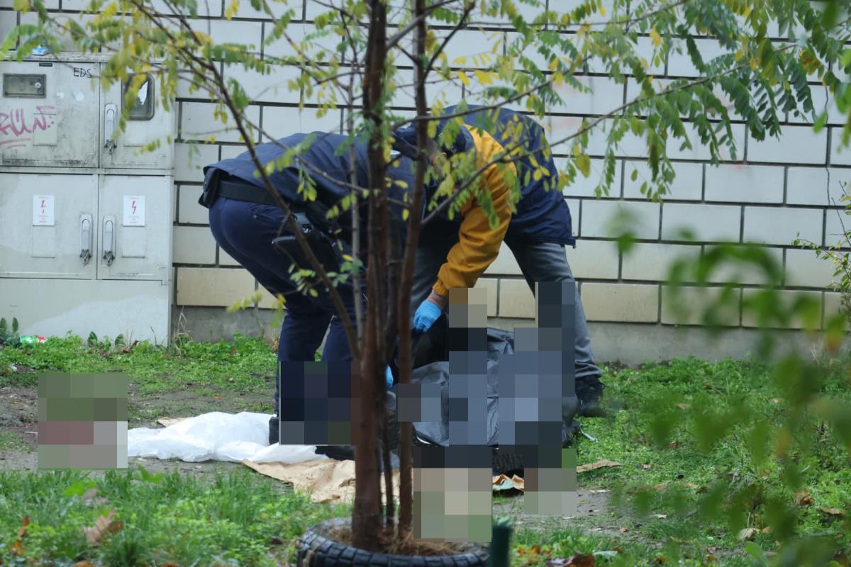 Tadija P. Ubistvo na Novom Beogradu