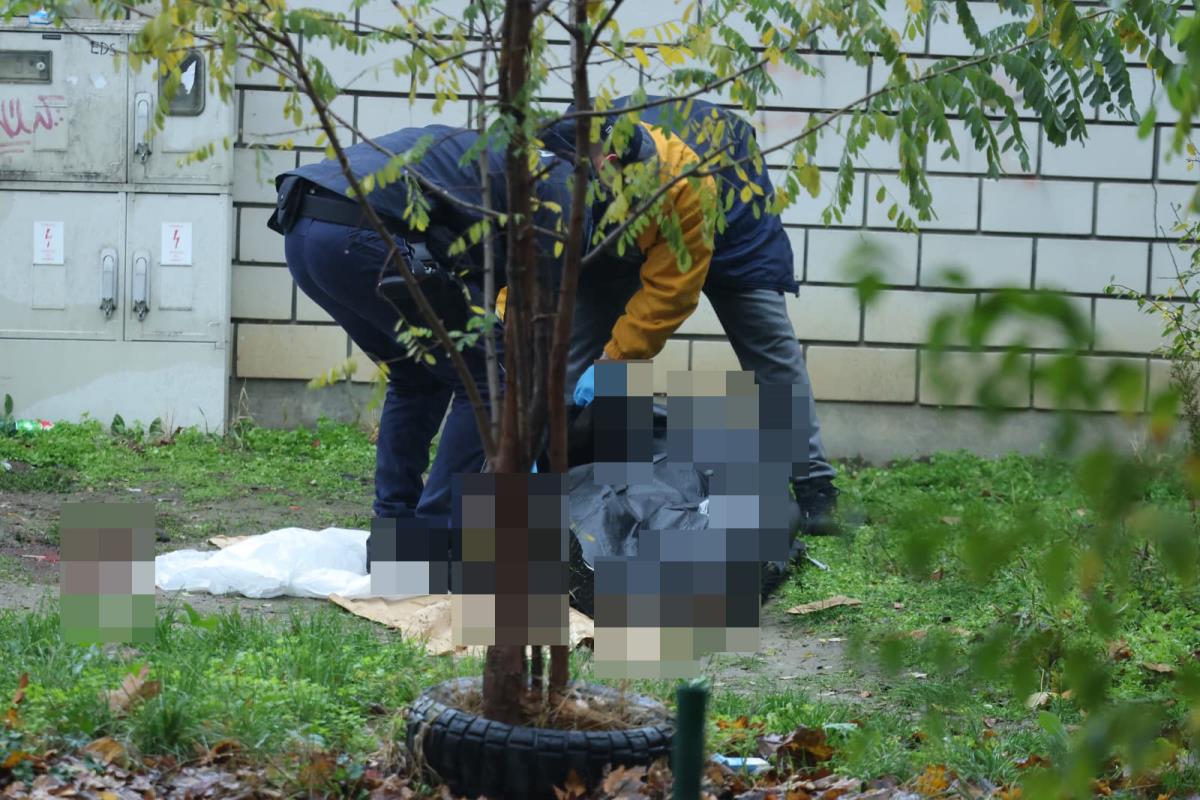 Tadija P. Ubistvo na Novom Beogradu