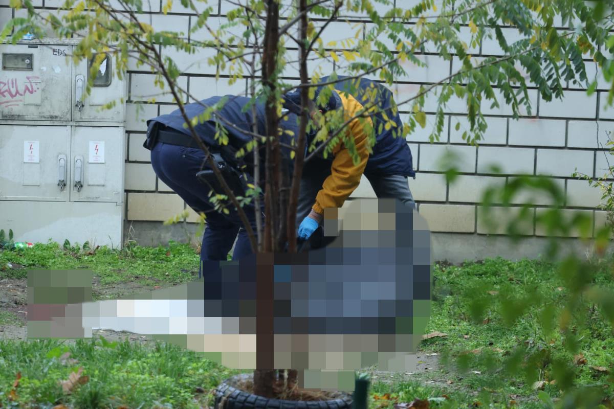 ubijen Tadija P novi beograd.jpg