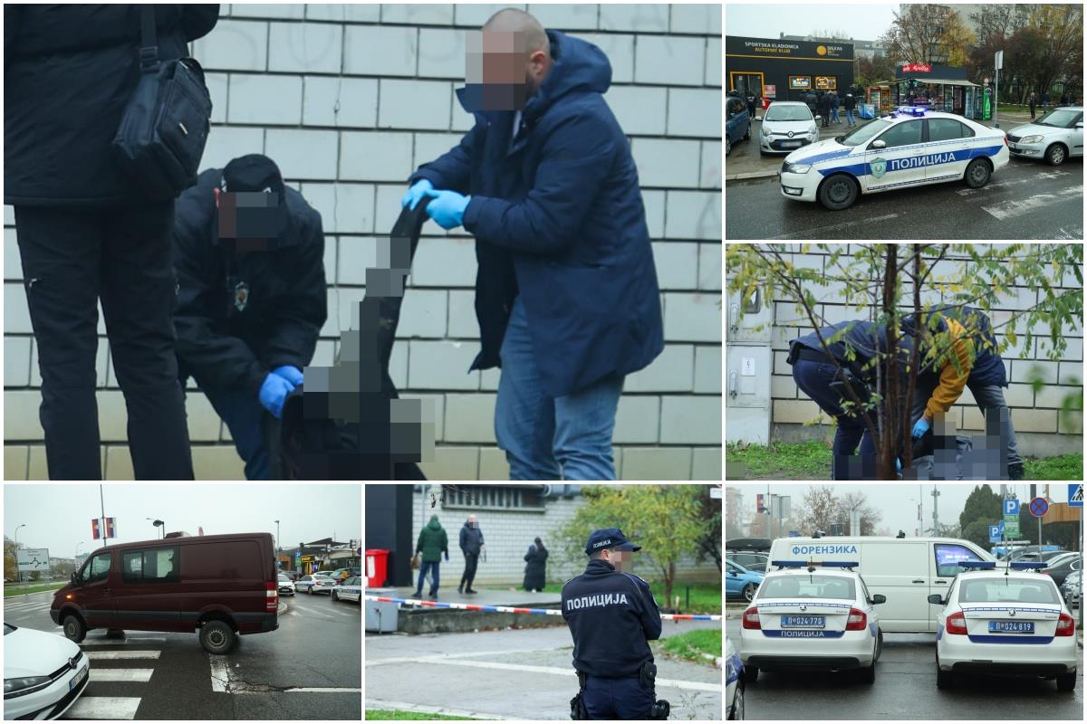 Ubistvo Novi Beograd.jpg