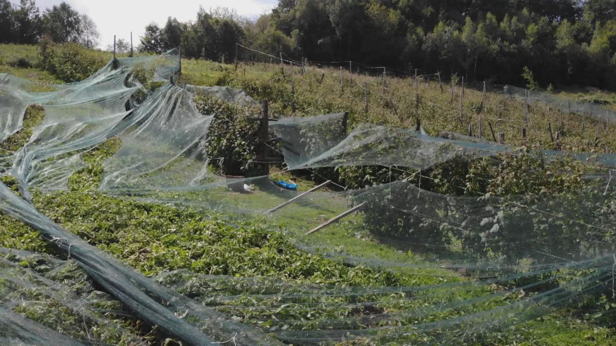 1763815558ivanjica-nevreme-ostavlja-pustos-fotorina (5).jpg