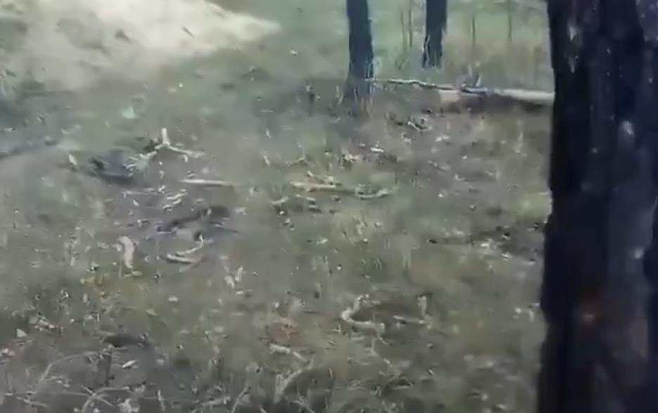 Screenshot 2025-11-24 154637.jpg