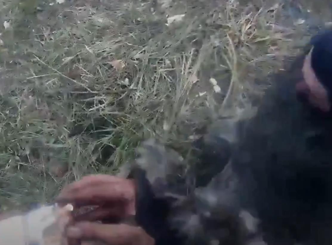 Screenshot 2025-11-24 154916.jpg