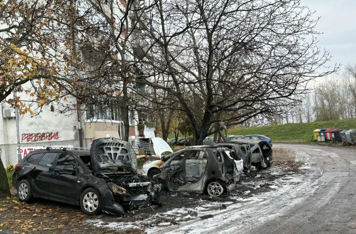 Sremska Mitrovica izgoreli automobili