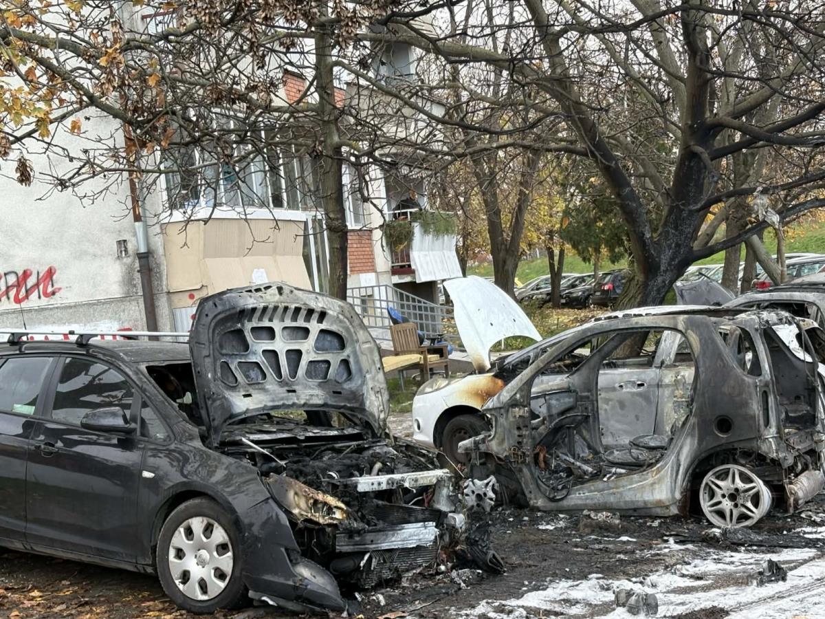 Sremska Mitrovica izgoreli automobili