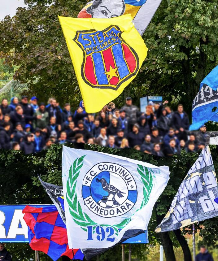 Navijači Steaue Peluza Sud