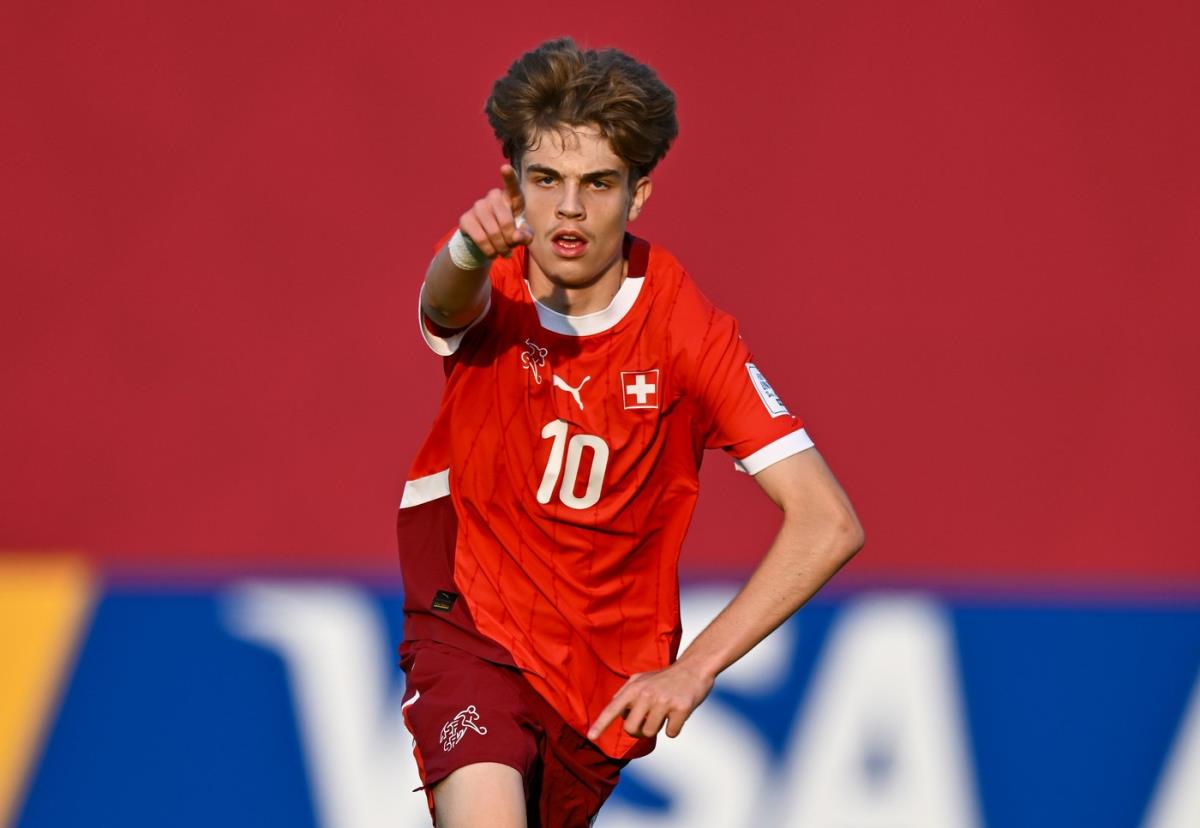 Srbija mora Švajcarskoj da uzme Mijajlovića