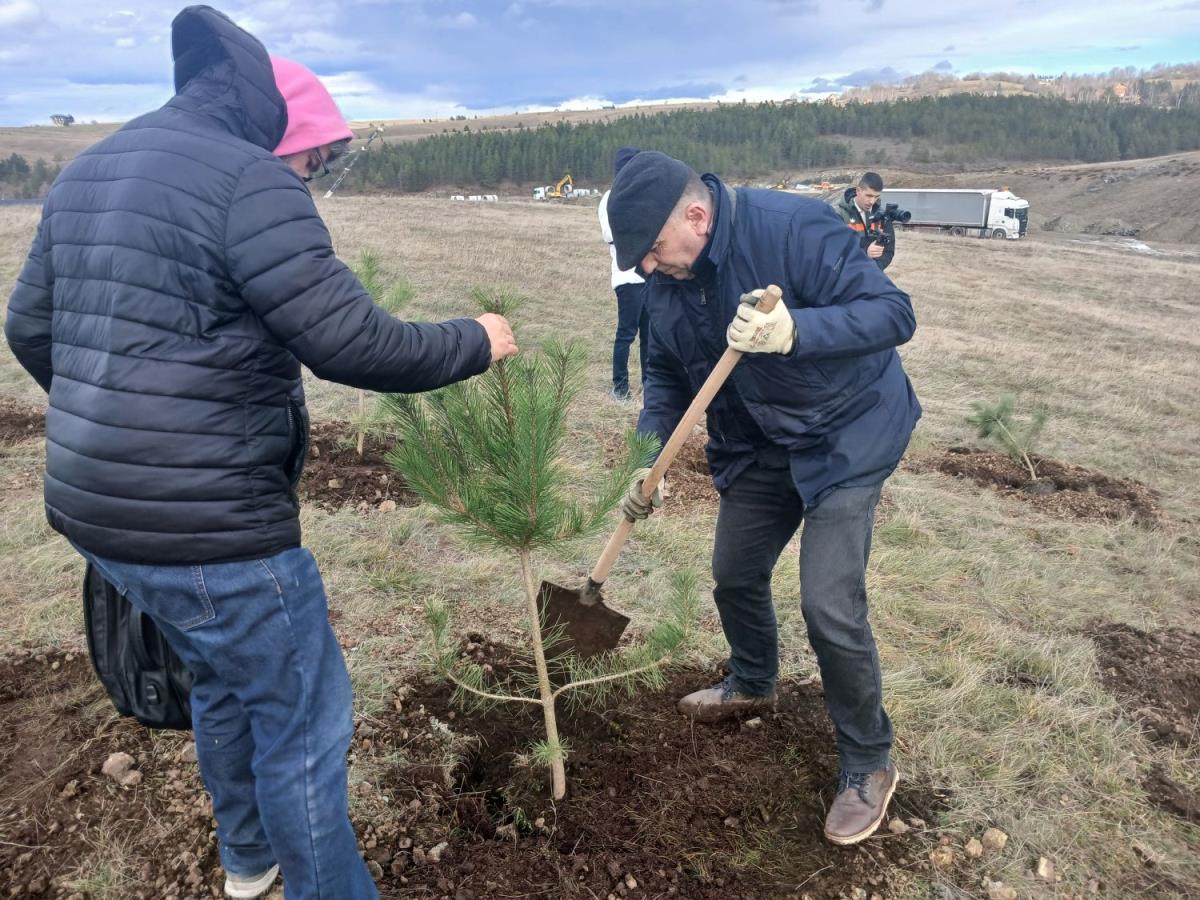 Na Zlatiboru zasađeno preko 1000 sadnica (5).jpg