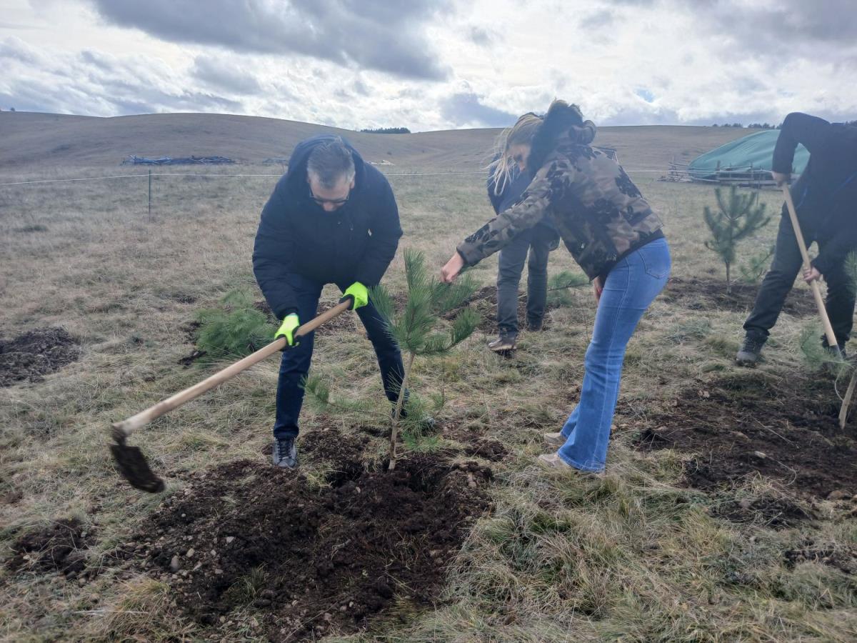Na Zlatiboru zasađeno preko 1000 sadnica - Milan Stamatović sa ćerkom narodnom poslanicom(1).jpg