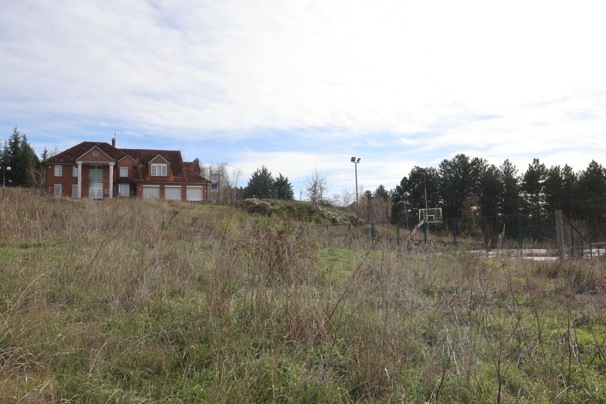 Damir Dokić Jelena Dokić kuća