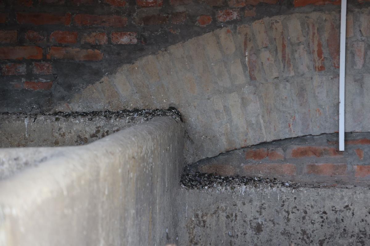 Damir Dokić Jelena Dokić kuća