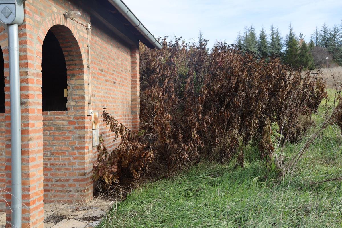 Damir Dokić Jelena Dokić kuća