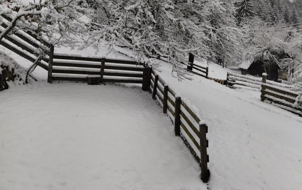 Screenshot 2025-11-27 100413.jpg