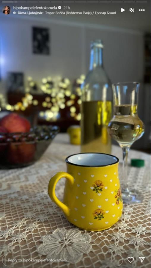 Dragana Mićalović pokazala božićnu trpezu u Leskovcu.jpg